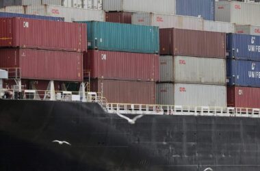 BDI warnt vor massenhaften Exporten aus China