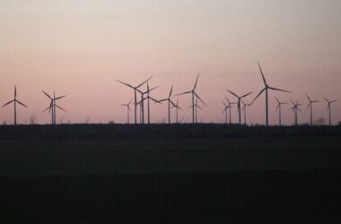 Bericht: Deutschland droht Klimaziele 2040 und 2045 zu verpassen