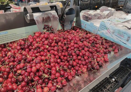 Bauernverband warnt vor Pleiten im Obst- und Gemüsebau