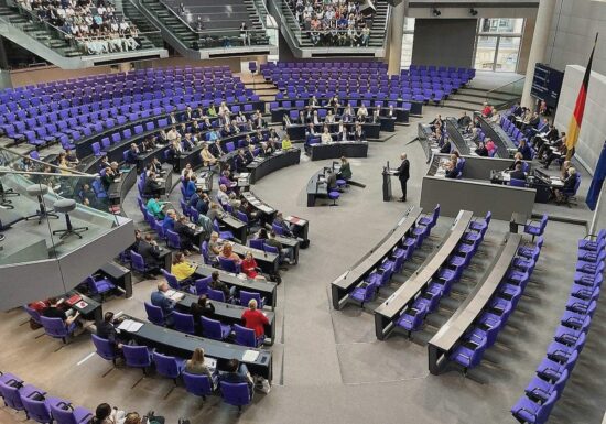 Linke formuliert Bedingungen für Richterwahl