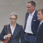AfD prüft Verfassungsbeschwerde wegen "Verdachtsfall"-Einstufung