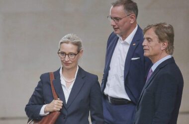 AfD prüft Verfassungsbeschwerde wegen "Verdachtsfall"-Einstufung