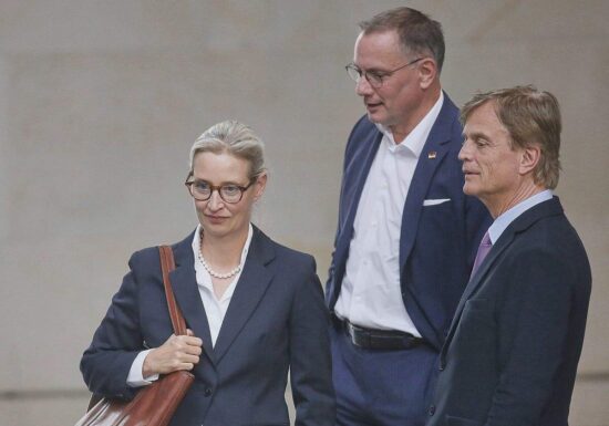 AfD prüft Verfassungsbeschwerde wegen "Verdachtsfall"-Einstufung