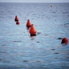 Ölpest im Schwarzen Meer schlimmer als bisher bekannt