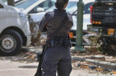 Trittin fordert Ende der Waffenlieferungen an Israel
