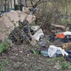 Linke kritisiert fehlende Ambitionen bei UN-Plastikabkommen