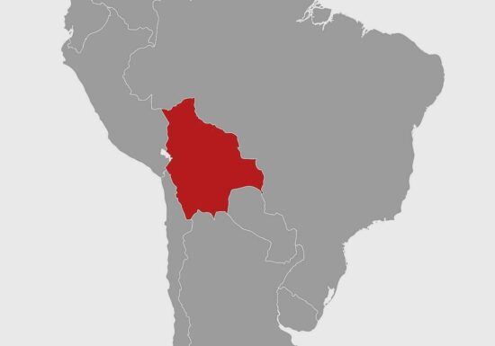 Bolivien vor Machtwechsel nach fast 20 Jahren Linksregierung