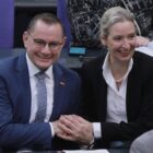 AfD erreicht in Forsa-Umfrage neuen Rekordwert