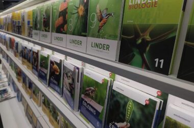Linke verlangt kostenlosen Zugang zu Schulbüchern
