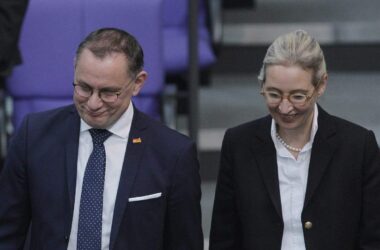 Forsa: AfD weiter auf Rekordniveau