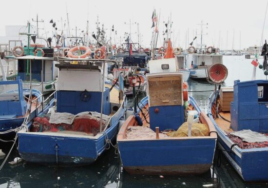 Bundesregierung will "fairen Kompromiss" bei Ostsee-Fischfangquoten
