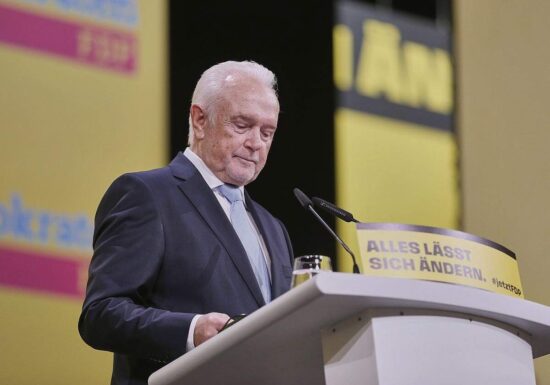 Kubicki hadert mit Zustand der FDP