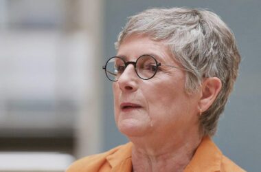 Grüne und Linke kritisieren Vorgehen bei Verfassungsrichter-Wahl