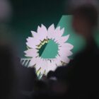 Grüne fordern nach Drohnen-Vorfall Sanktionspaket gegen Russland