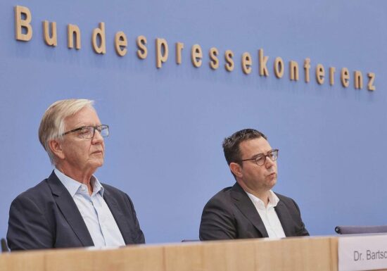 Haushalt 2025: Linke kritisiert "finanzpolitischen Irrgarten"