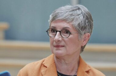 Haßelmann kritisiert "Hängepartie" für Bundesverfassungsgericht