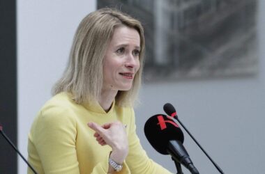 Kallas will EU-Interessen "mit Zuckerbrot und Peitsche" verteidigen