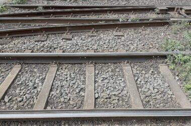 Pro Schiene: Bahnstrategie soll auf Rendite durchs Netz verzichten