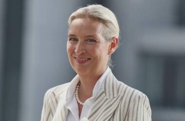 Insa: Wählerpotenzial der AfD steigt auf Rekordhoch