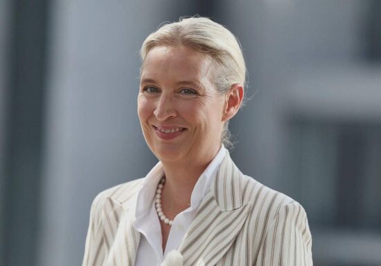Insa: Wählerpotenzial der AfD steigt auf Rekordhoch