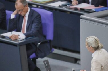 Forsa: AfD hält Rekordniveau - Merz rutscht auf Tiefstwert