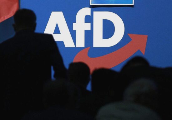 AfD-Umfragerekorde erschrecken Koalitionspolitiker