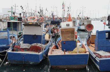 Neue Fangquoten für Ostseefischerei beschlossen