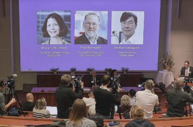 Medizinnobelpreis geht an drei Immunforscher