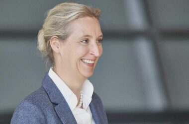 Insa: AfD erreicht neuen Höchstwert in Sonntagsfrage