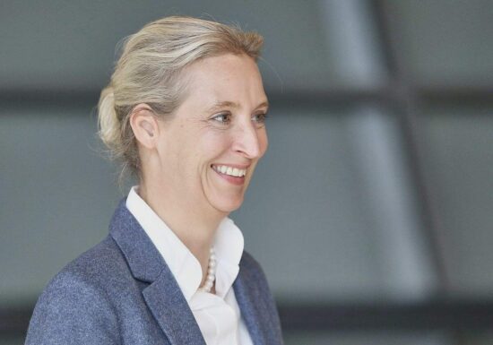 Insa: AfD erreicht neuen Höchstwert in Sonntagsfrage