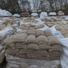 Allianz-Vorstand fordert besseren Hochwasser-Schutz