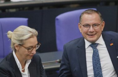 Insa-Umfrage: AfD bleibt stärkste Kraft