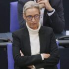 Forsa: AfD verliert - Krisenstimmung nähert sich Ampel-Niveau
