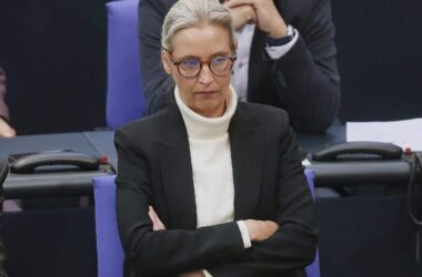 Forsa: AfD verliert - Krisenstimmung nähert sich Ampel-Niveau
