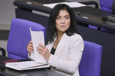 Grüne werfen Reiche Untätigkeit in Chipkrise vor