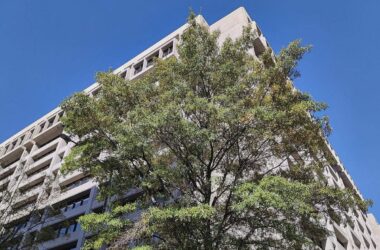 IWF sieht starke Parallelen zur Dotcom-Blase