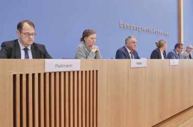 Keine einheitliche Linie zu Volksabstimmungen im Petitionsausschuss