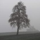 Oktober 2025 in Deutschland ungewöhnlich nass und trüb