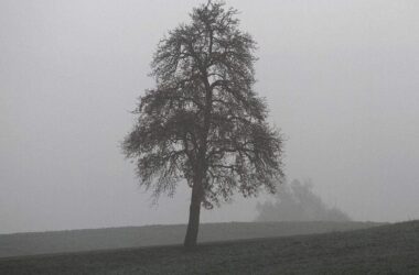 Oktober 2025 in Deutschland ungewöhnlich nass und trüb