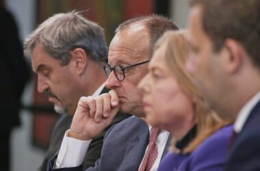 Linke wirft Koalition "Planwirtschaft für Sozialabbau" vor