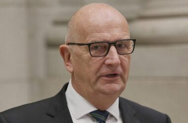 SPD-Abgeordnete distanzieren sich von Woidkes AfD-Äußerung