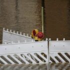 UNEP: Erde auf gefährlichem Erhitzungspfad von 2,8 Grad Celsius