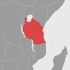 Opposition in Tansania wirft Präsidentin Wahlfälschung vor