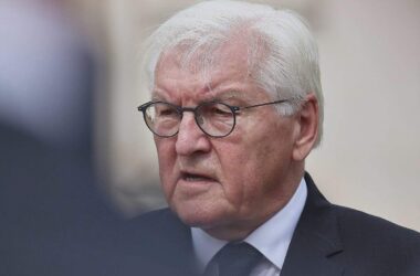 AfD kritisiert Steinmeier nach Aussagen zu möglichem Parteiverbot