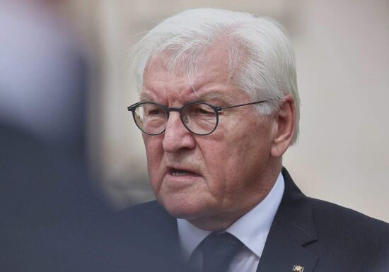 AfD kritisiert Steinmeier nach Aussagen zu möglichem Parteiverbot