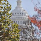 Shutdown: US-Senat stimmt für Übergangshaushalt