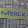 Merck-Chefin sieht Situation in Deutschland leicht positiv