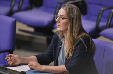 Grüne fordern Familienunternehmer zu Abgrenzung von AfD auf