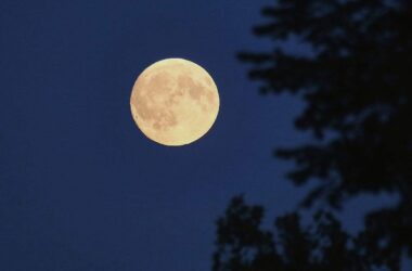 Deutscher soll zum Mond fliegen