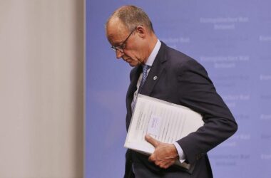 Grünen-Europapolitiker kritisiert Merz vor COP in Belém